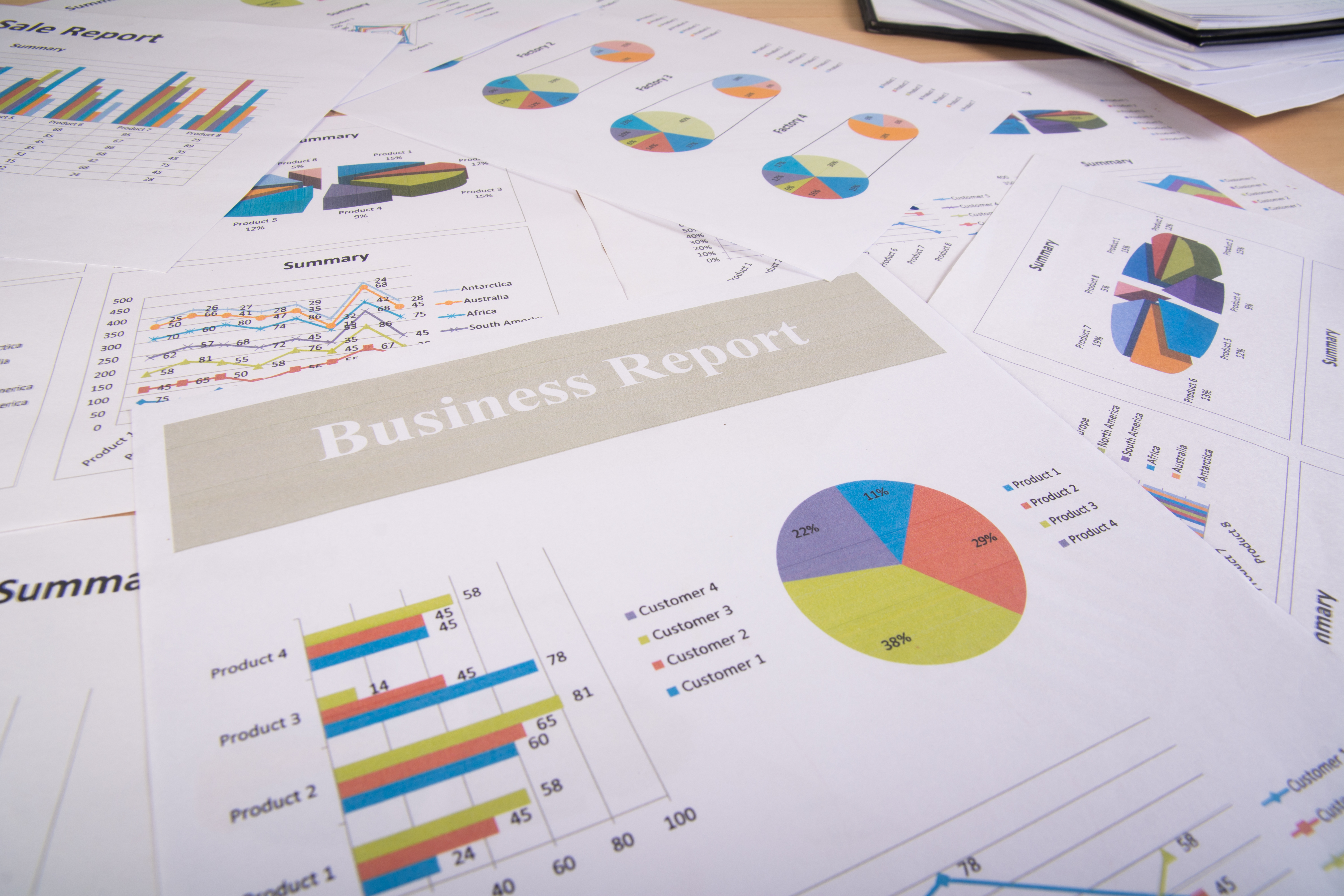 Business Credit Report
